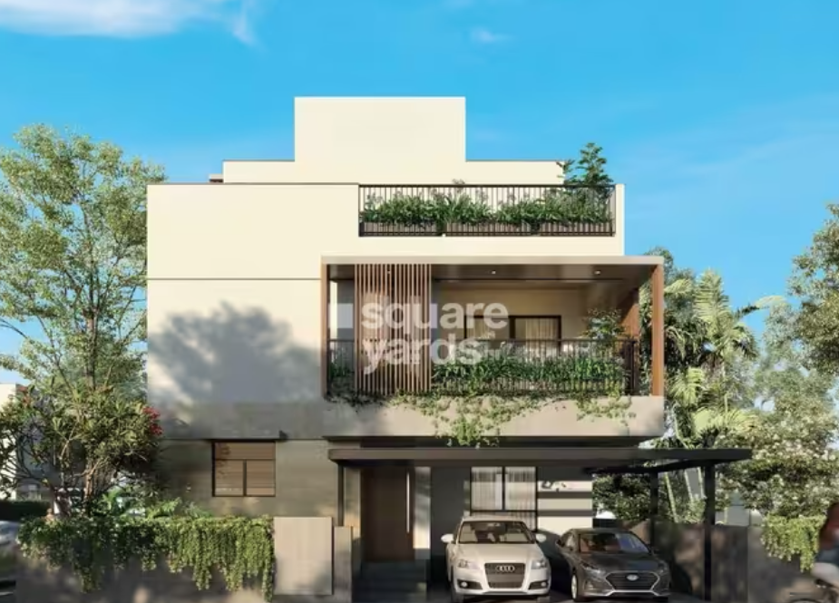 Indis Myra Villas  images 